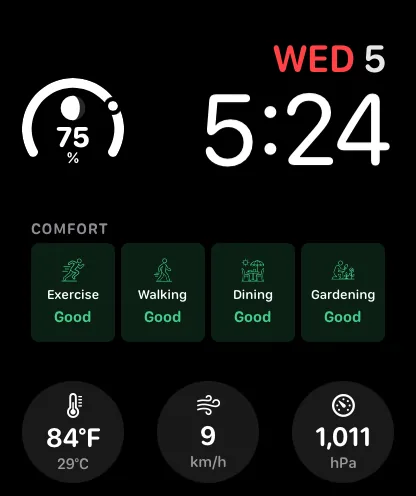 Apple Watch Infograph Modular face with comfort and condition complications